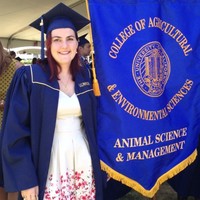 Courtney Beamesderfer