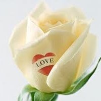 F. Fathima