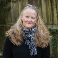 tracy heaberlin