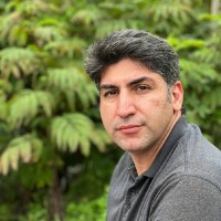 Ali Hashemian