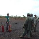 Artus Cavalari Lopes