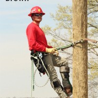 Ryan Brown