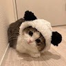 陈刀仔
