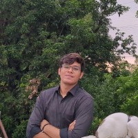 Aditya Mendhe
