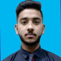 Talha Alvi