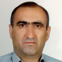 Sayed Mahmoud Hosseni