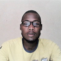simosethu vilane