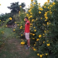 Bhupesh  kumar sharma