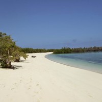 Javier Zambrano Rivero