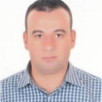 Mohammed Mostafa Emam Salim