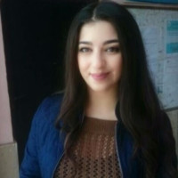 Hanan Shamout