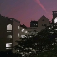 赵晓雯