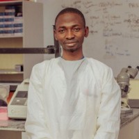Hassan Sani