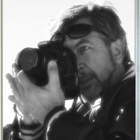 David Winge