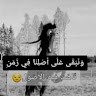 صقر العرب