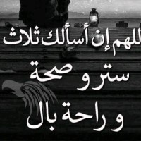 Mohammed Alariqi