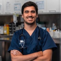 João Neves