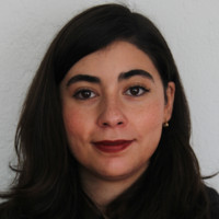 María Del Carmen Rico Galindo
