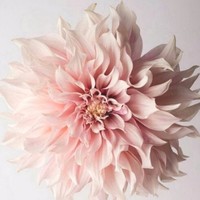 양천U용산U은평U종로Ubest.Of.Best