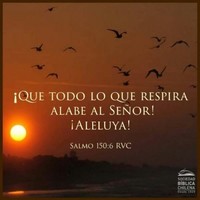 Jenniffer Lucila Quispe Eguiluz