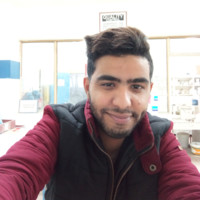 Mohammed Ali Elrawy
