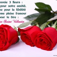 mahmoud wassim
