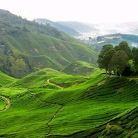 Chonyada Chankeaw