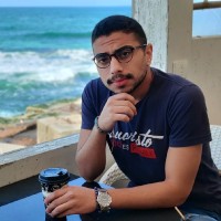 Assem Elsayed