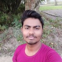 Developer Sakib