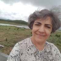 Ana Maria Iannaconi Borges