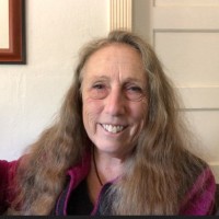 Daphne Woll Shapiro