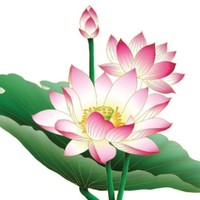 Helen Xu