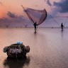 Hoang Tran