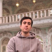 Mohammad Hosein Amini