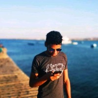 hamada Sh Salh