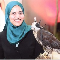 Afaf M.Eid