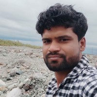 Pradeep Ray