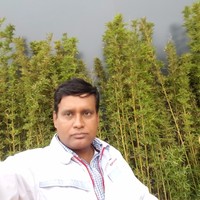 Muhammad Noman Siddiqui
