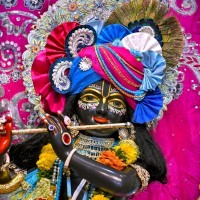 Yatendrapal Singh Chaudhary