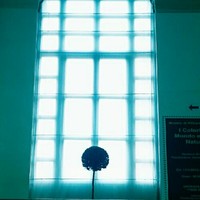 Esther Molina Guerola