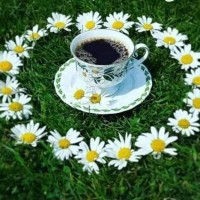 Marwan Awar