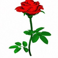 Nagesh Rao