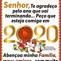 Mireli Santos Da Silva