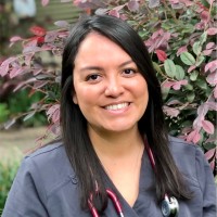 Paula Amaro, Fnp-C