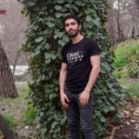 Ali Rezaei la'l