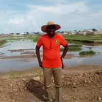Ibrahim Umar Ali