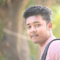 Dipto Ray