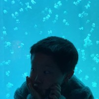杨朝文