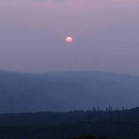Tankala Divya