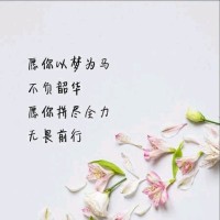Jine Wang